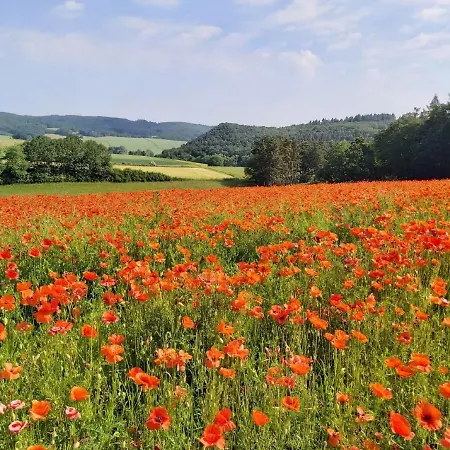 Reitze Hoob Lägenhet *